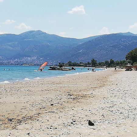 Marathon Beachside Villa 100M From The Beach Schinias Extérieur photo